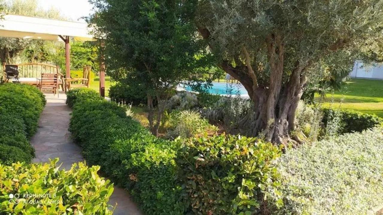 Luxurious 6 Bedroom Villa In A Great Location Chalkida Exterior photo
